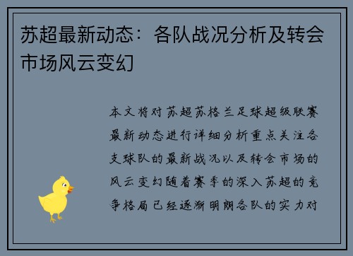 苏超最新动态：各队战况分析及转会市场风云变幻