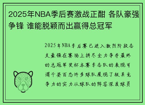 2025年NBA季后赛激战正酣 各队豪强争锋 谁能脱颖而出赢得总冠军