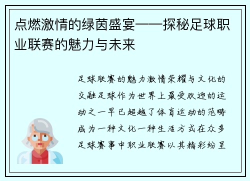 点燃激情的绿茵盛宴——探秘足球职业联赛的魅力与未来