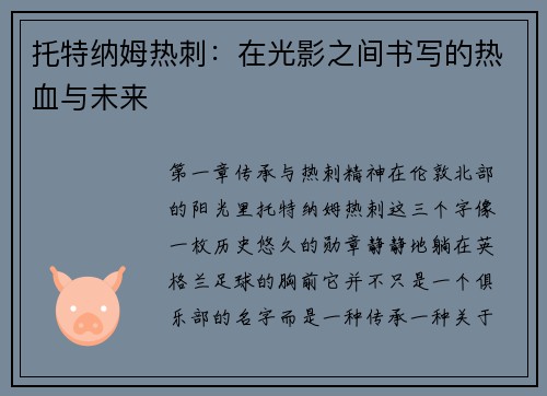 托特纳姆热刺：在光影之间书写的热血与未来